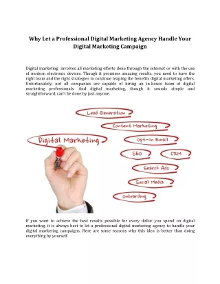 Why Let a Professional Digital Marketing Agency Handle Your Digital Marketing Campaign