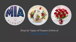 Shop for Types of Flowers Online