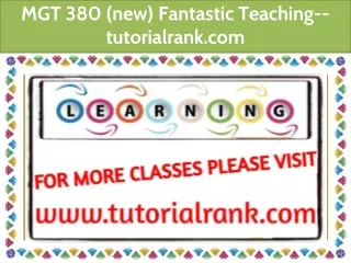 MGT 380 (new) Fantastic Teaching--tutorialrank.com