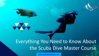 everything you need to know about the scuba dive master course