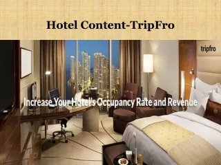 hotel content tripfro