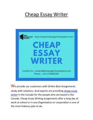 cheap essay writer