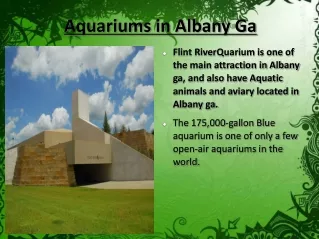 Aquariums Albany Ga