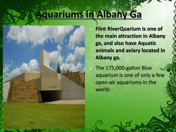 aquariums in albany ga