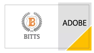 Adobe Certificate Courses at Bitts International Career College