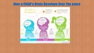 how a child s brain develops over the years