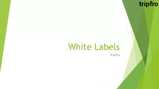 white labels