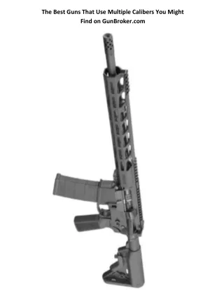 the best guns that use multiple calibers