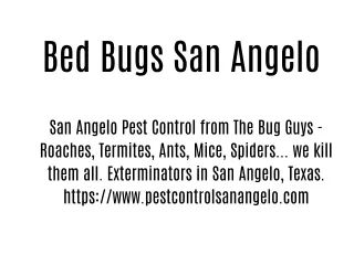  Bed Bugs San Angelo