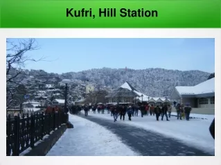 Alluring Shimla Tour Packages | Kufri Hill Station