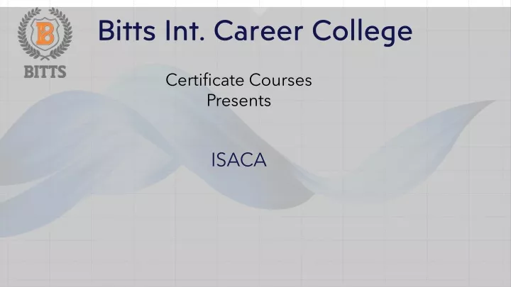 bitts int career college