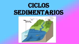 ciclos sedimentarios