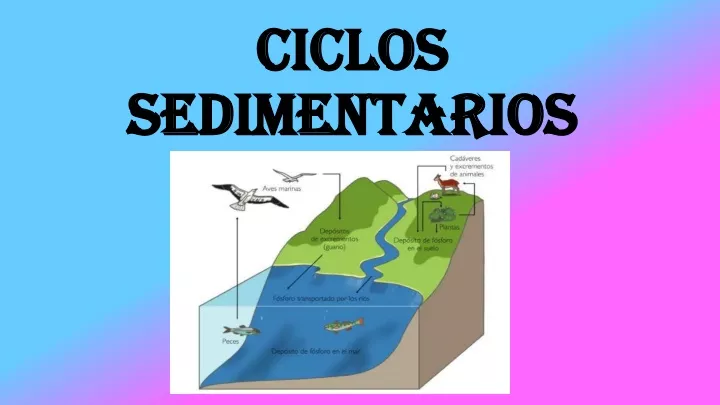ciclos sedimentarios