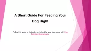 A Short Guide For Feeding Your Dog Right