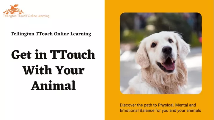 tellington ttouch online learning