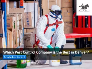 Which Pest Control Company is the Best in Denver?