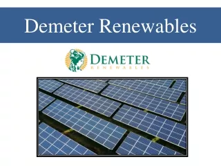 Demeter Renewables