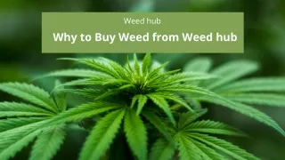 Why to Buy Weed from Weed hub
