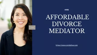Hire an Affordable Divorce Mediator