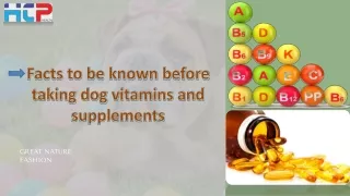 Facts to be known before taking dog vitamins and supplements
