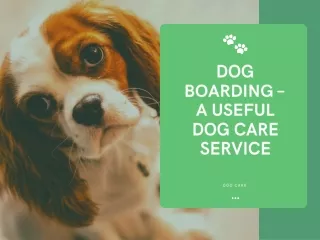 dog boarding a useful dog care service