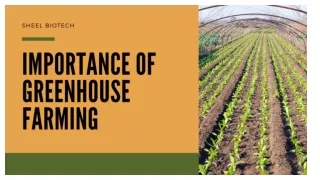 Importance of greenhouse farming