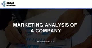 Best marketing analysis of a company in USA at Global Monitor