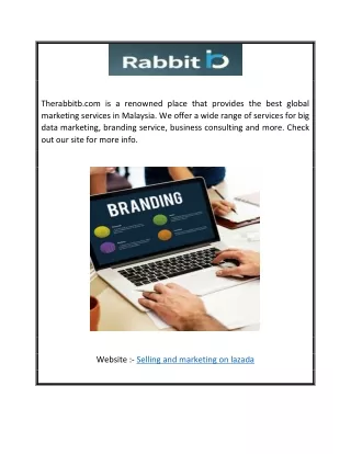Selling and Marketing on Lazada | Therabbitb.com