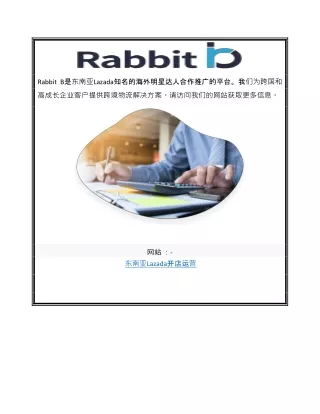 东南亚Lazada开店运营 | Therabbitb.com/china