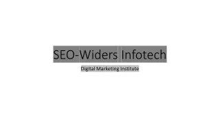 seo widers infotech