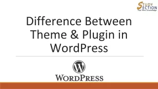 difference between theme plugin in wordpress