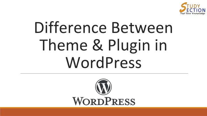 difference between theme plugin in wordpress