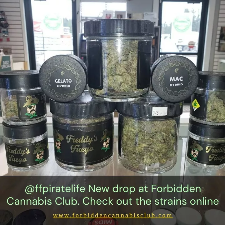 @ffpiratelife new drop at forbidden cannabis club