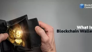 What Is a Blockchain Wallet?