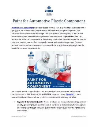 paint for automotive plastic component