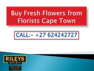 Buy Fresh Flowers from Florists Cape Town