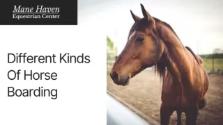 Different Kinds Of Horse Boarding