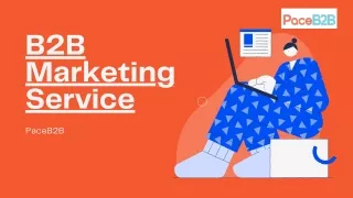B2B Marketing Service