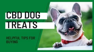 CBD Dog Treats - Helpful Tips For Buying