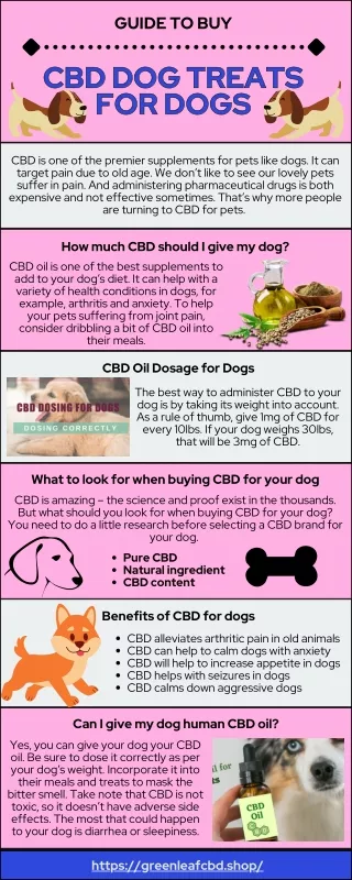 Must Read the Tips for Buying CBD Dog Treats