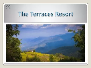 Corporate Offsite Venue Option in Kanatal – The Terraces Resort