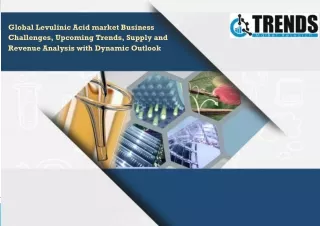 global levulinic acid market business challenges