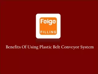 Plastic Belt Conveyor Systems