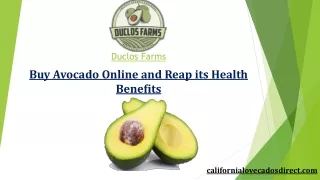 Buy Avocado Online and Reap its Health Benefits