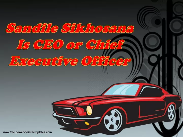 sandile sikhosana is ceo or chief executive officer