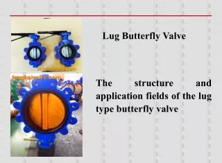 Lug type butterfly valve
