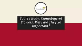 CBG white flower- SourceBody