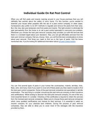 Individual Guide On Rat Pest Control