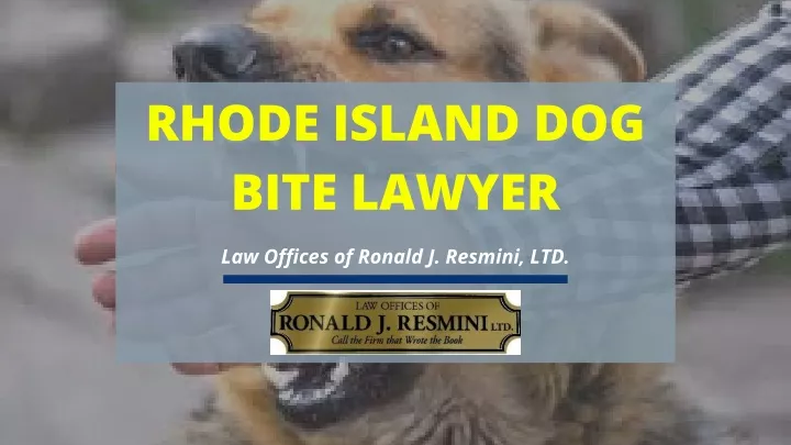 rhode island dog bite lawyer