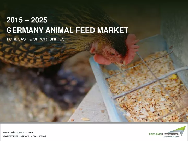 2015 2025 germany animal feed market